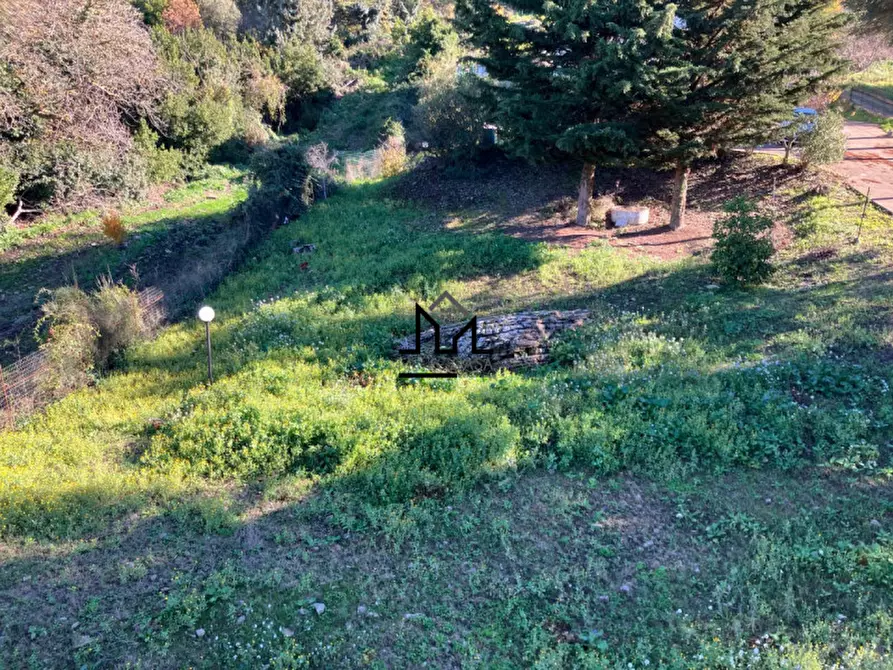 Immagine 16 di Villa in vendita  a Corleone