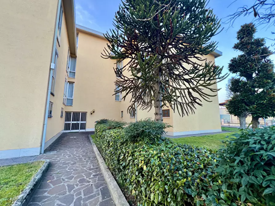 Immagine 3 di Appartamento in vendita  in via salvo d'acquisto, 2 a Montagnana