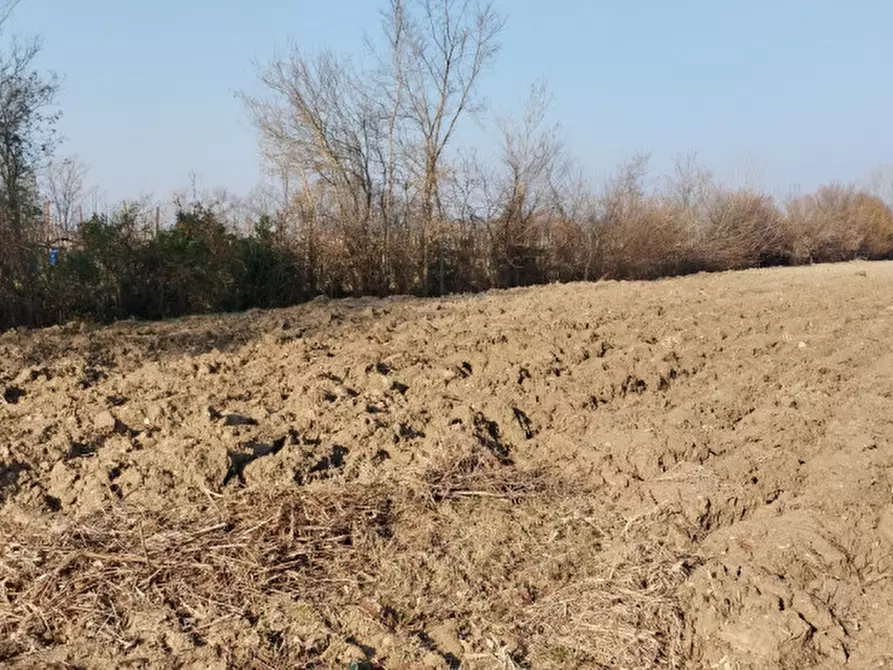 mansarda in vendita a Cervarese Santa Croce