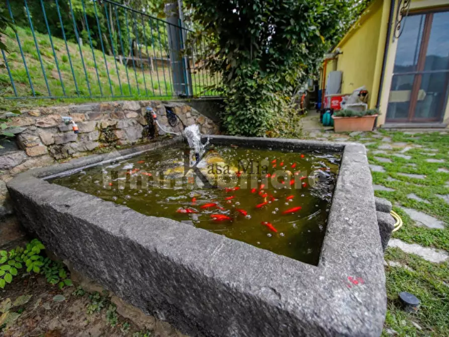 Immagine 29 di Attività commerciale in vendita  in strada per campo 12 a Castellamonte
