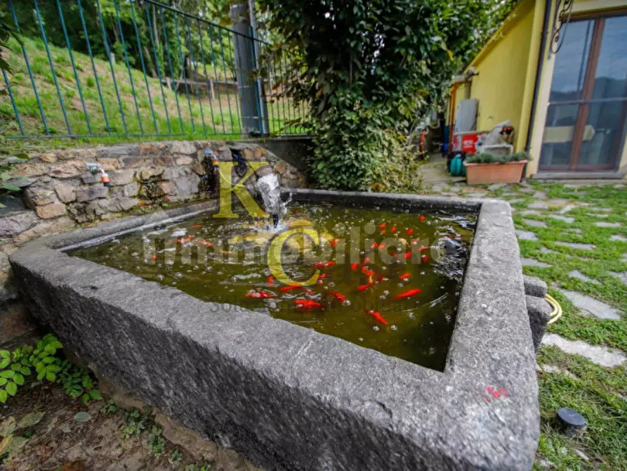 Immagine 40 di Attività commerciale in vendita  in strada per campo 12 a Castellamonte