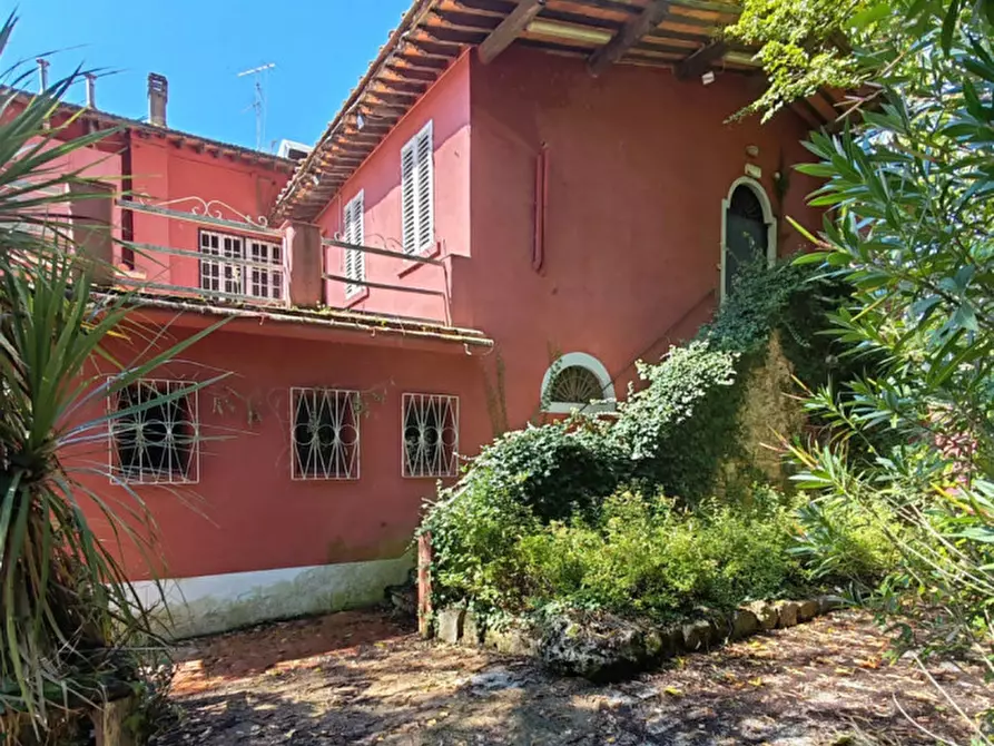 Immagine 9 di Attività commerciale in vendita  in Strada Lungo l'Arno a Terranuova Bracciolini