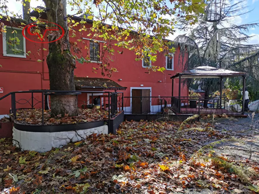 Immagine 12 di Attività commerciale in vendita  in Strada Lungo l'Arno a Terranuova Bracciolini