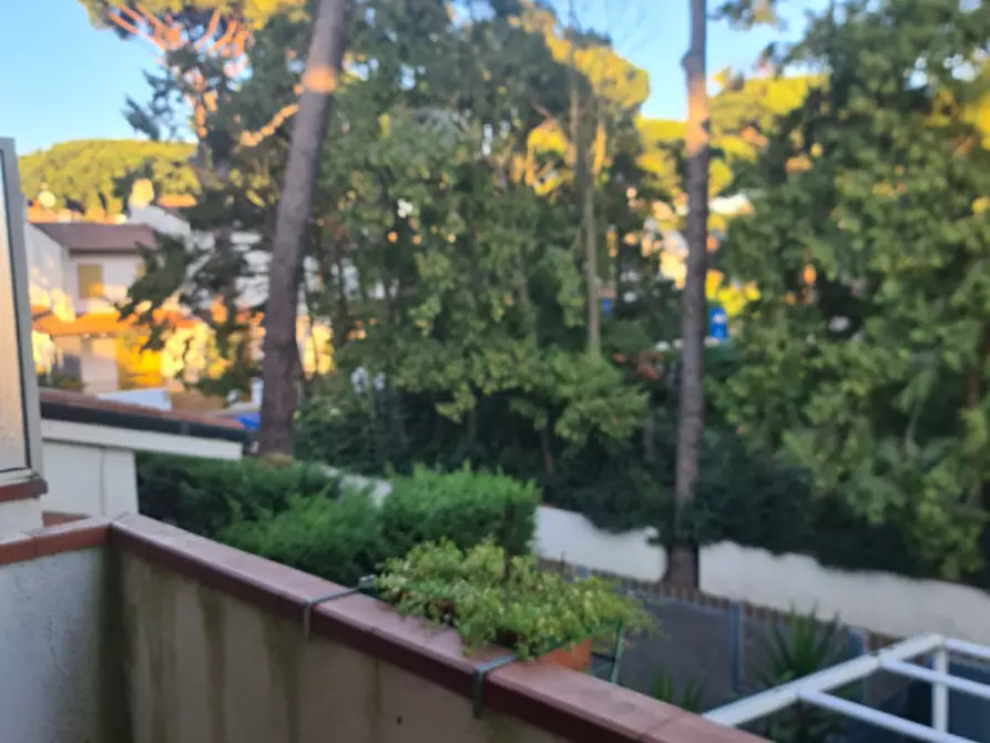 Immagine 15 di Villetta a schiera in vendita  in VIA DEI TIGLI 51 a Comacchio