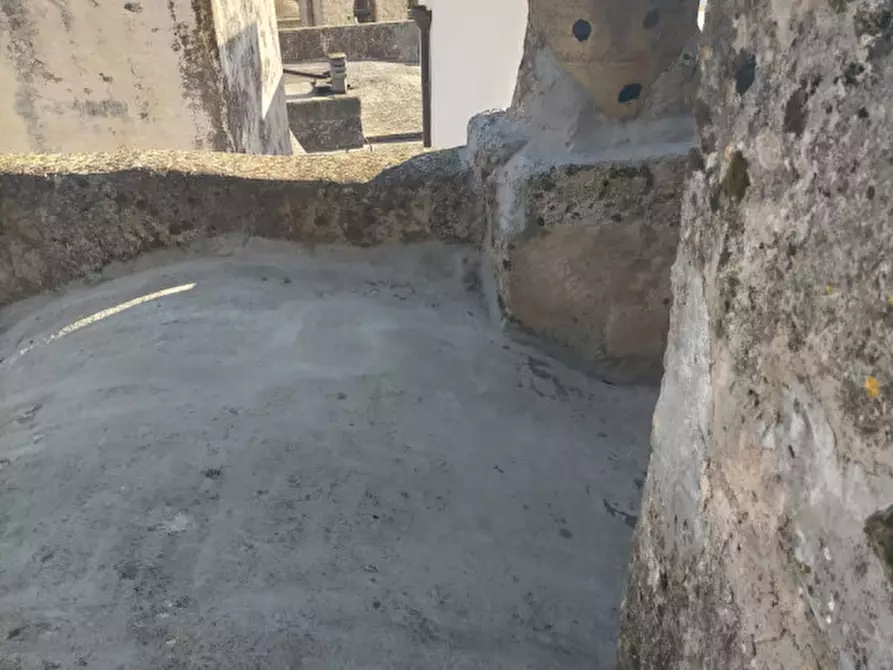 Immagine 9 di Casa indipendente in vendita  in via ugo foscolo a Specchia