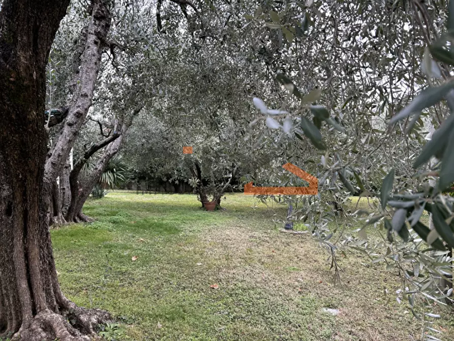 Immagine 47 di Casa indipendente in vendita  in via Alte a Pove Del Grappa