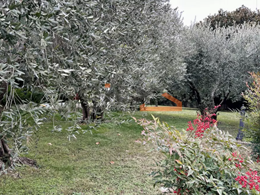 Immagine 48 di Casa indipendente in vendita  in via Alte a Pove Del Grappa