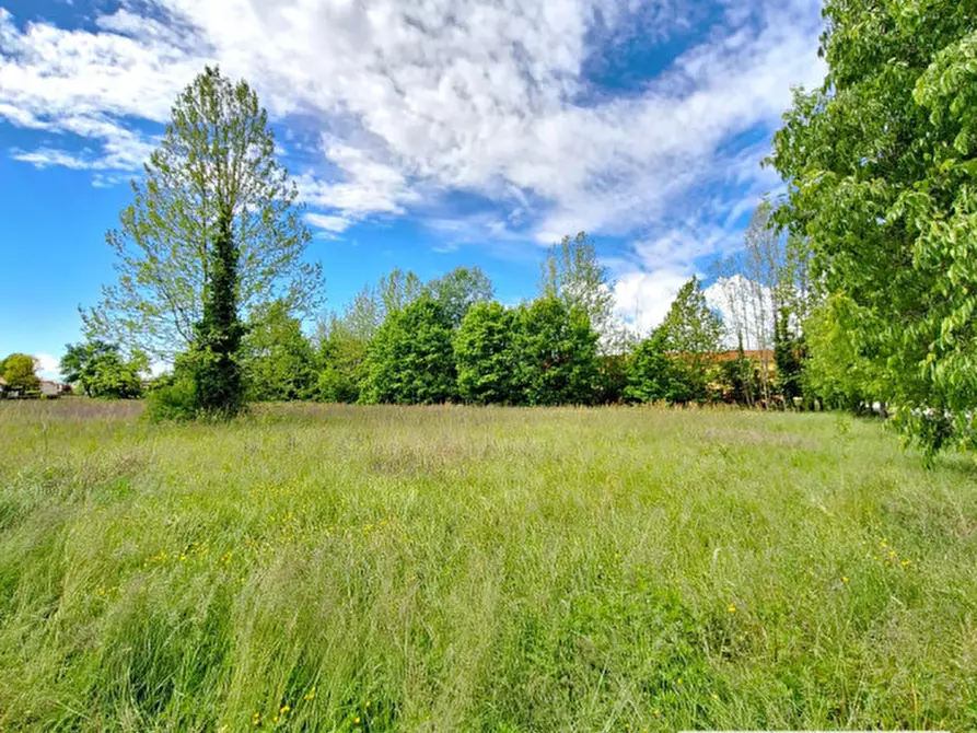 Immagine 8 di Terreno in vendita  in Via Don Giovanni Minzoni a Stra