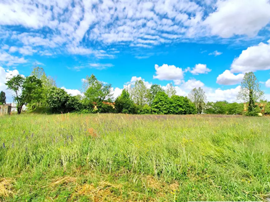 Immagine 12 di Terreno in vendita  in Via Don Giovanni Minzoni a Stra