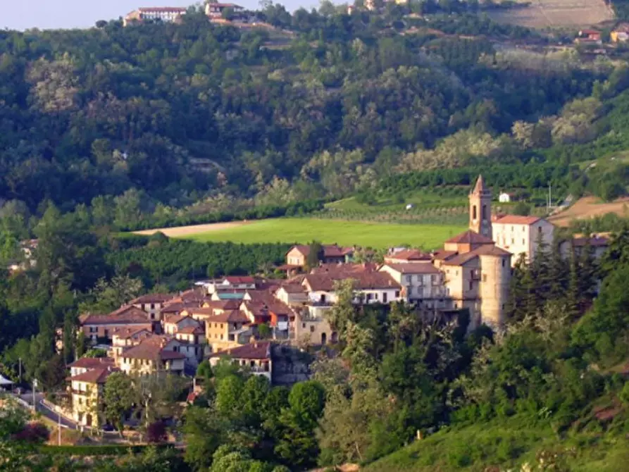 Immagine 7 di Terreno in vendita  a Sinio