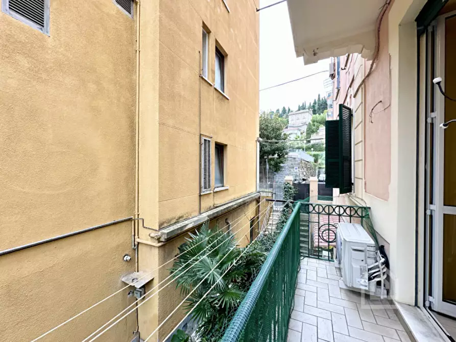 Immagine 20 di Appartamento in vendita  in Viale Daniel Hanbury 90 a Alassio