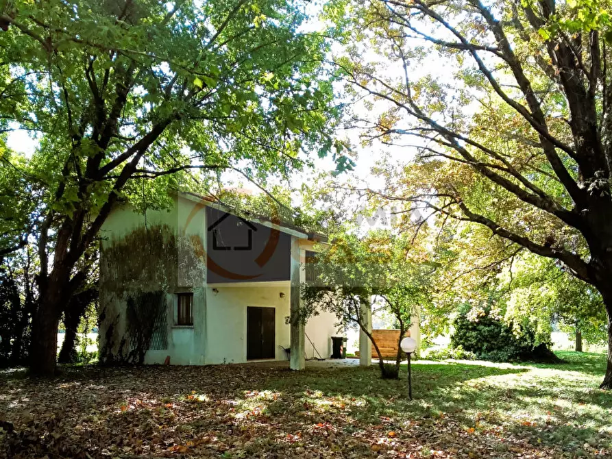 Immagine 11 di Villa in vendita  in Via Antonio Gramsci a Camponogara