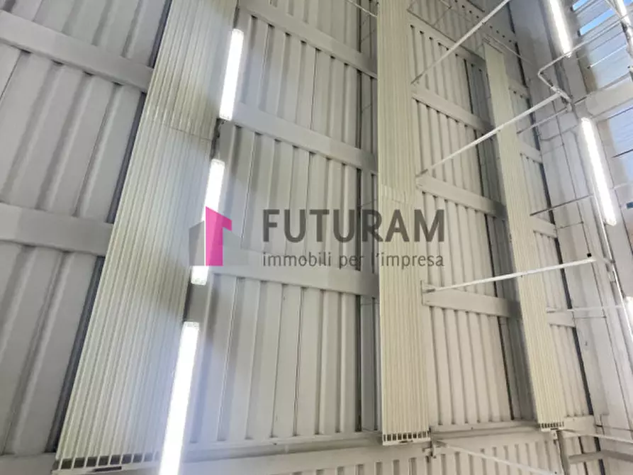 Immagine 18 di Capannone industriale in vendita  in VIA ROMA 1 a Terrassa Padovana