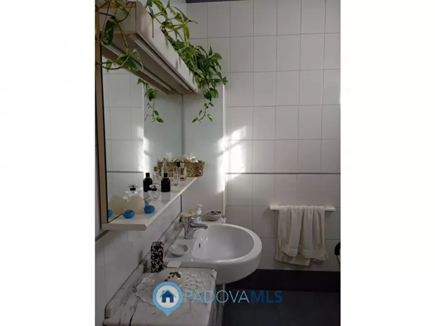 Immagine 9 di Casa bifamiliare in vendita  in Via Rudella a Vigonza