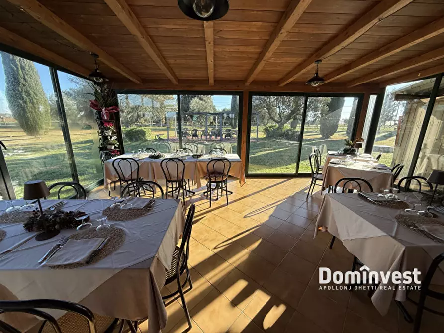 Immagine 3 di Rustico / casale in vendita  in Strada Provinciale 75 Pescia Fiorentina Chiarone a Capalbio