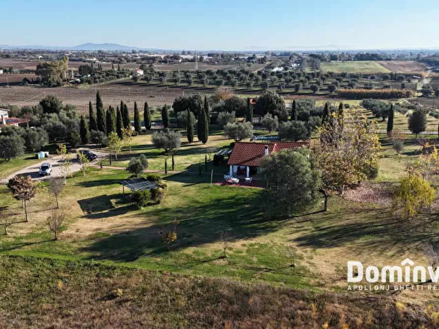 Immagine 14 di Rustico / casale in vendita  in Strada Provinciale 75 Pescia Fiorentina Chiarone a Capalbio