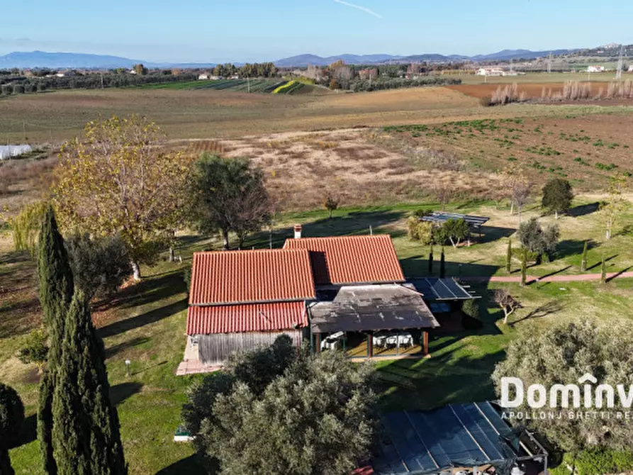 Immagine 15 di Rustico / casale in vendita  in Strada Provinciale 75 Pescia Fiorentina Chiarone a Capalbio