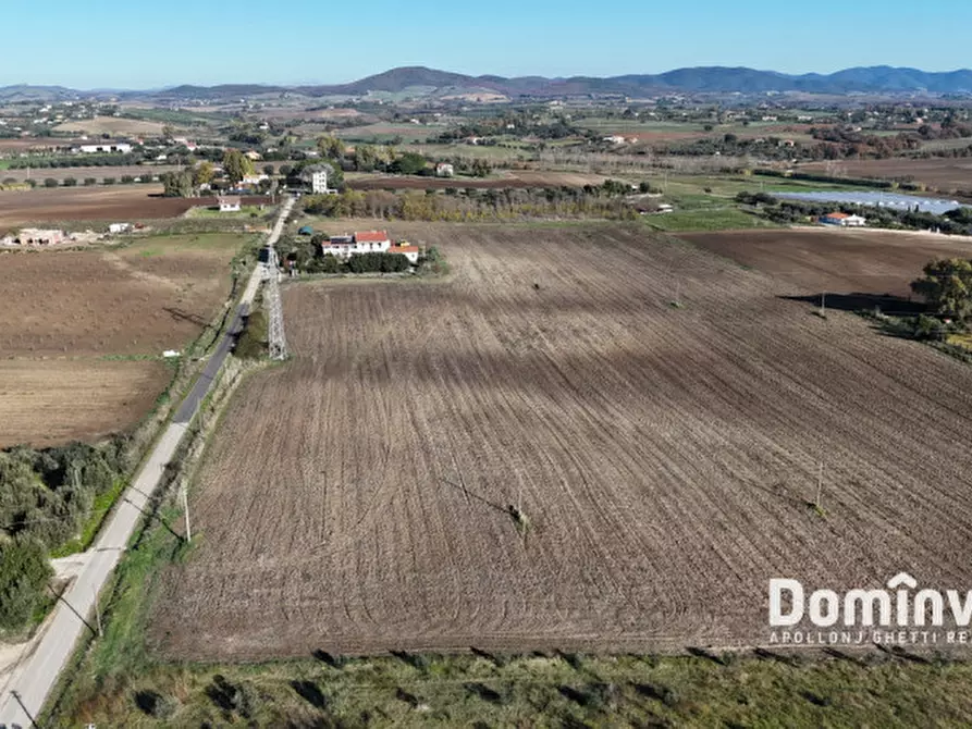 Immagine 18 di Rustico / casale in vendita  in Strada Provinciale 75 Pescia Fiorentina Chiarone a Capalbio