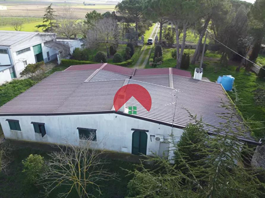 Immagine 19 di Villa in vendita  in Strada Provinciale Matera - Gioia del Colle a Matera