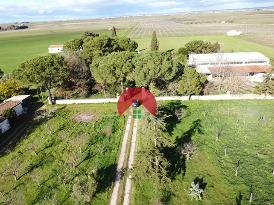 Immagine 32 di Villa in vendita  in Strada Provinciale Matera - Gioia del Colle a Matera