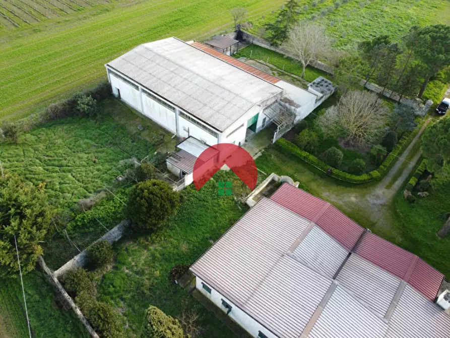 Immagine 20 di Villa in vendita  in c,da torre spagnola a Matera