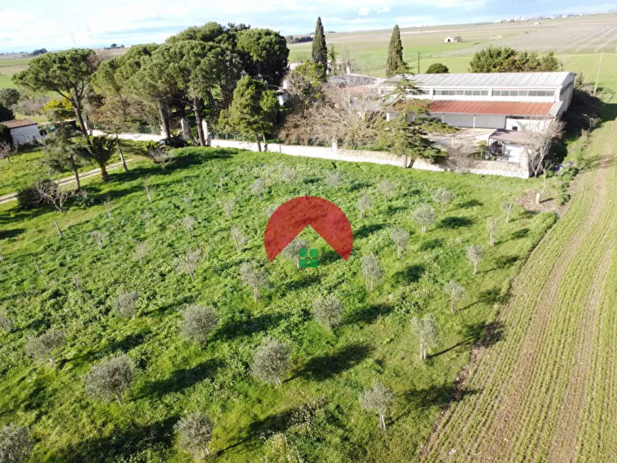 Immagine 31 di Villa in vendita  in c,da torre spagnola a Matera