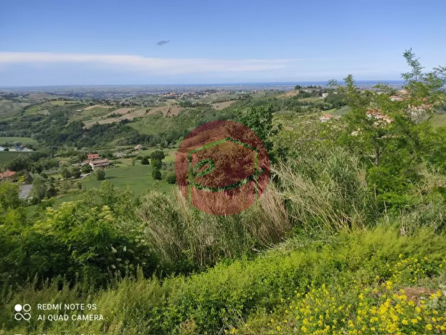 Immagine 6 di Terreno in vendita  a Roncofreddo