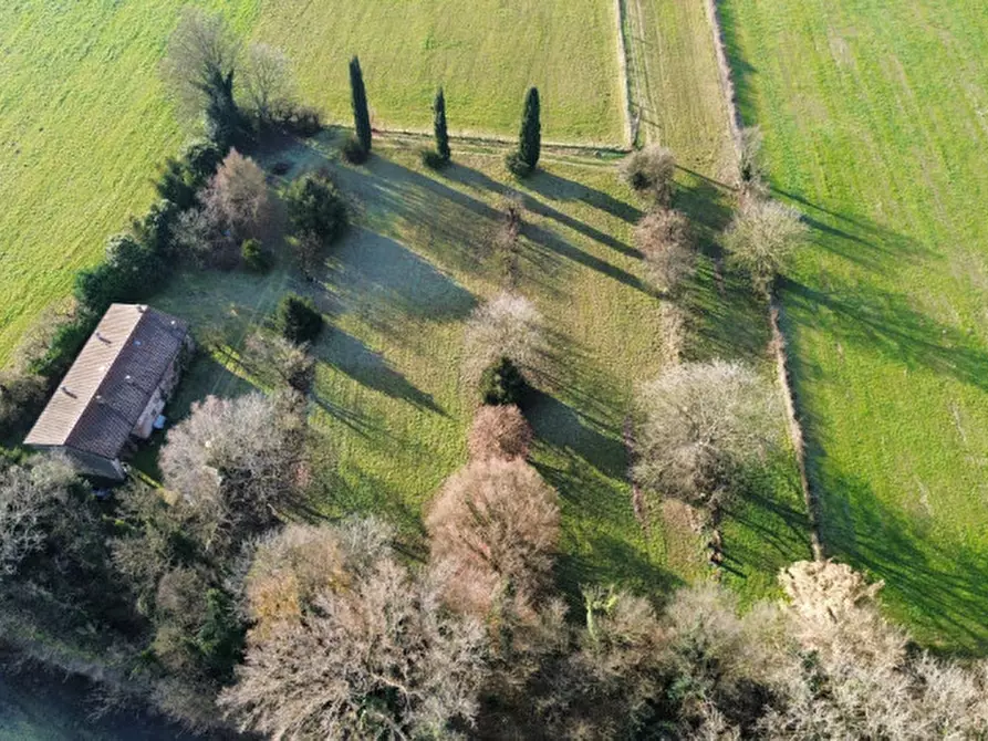 Immagine 2 di Rustico / casale in vendita  in Via Lazio a Bussolengo
