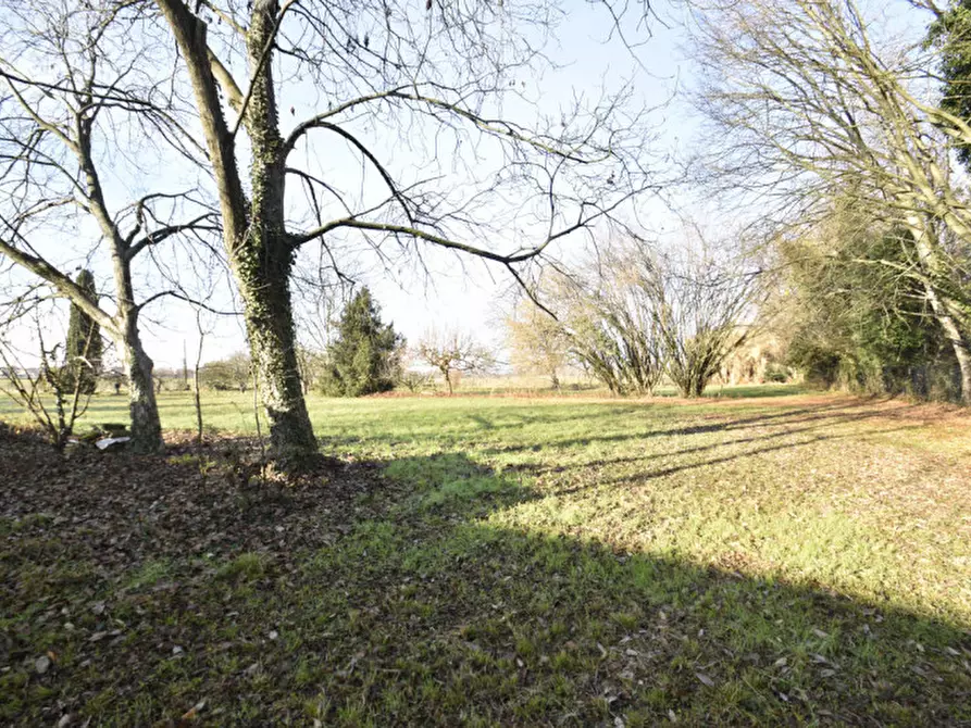 Immagine 28 di Rustico / casale in vendita  in Via Lazio a Bussolengo