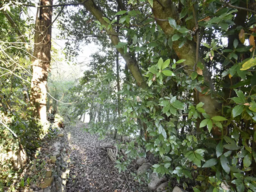 Immagine 30 di Rustico / casale in vendita  in Via Lazio a Bussolengo