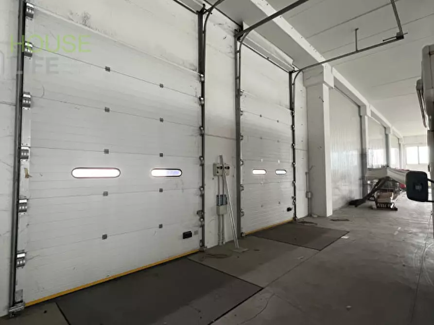 Immagine 14 di Capannone industriale in vendita  in Via dell'agricoltura 29 a Minerbe