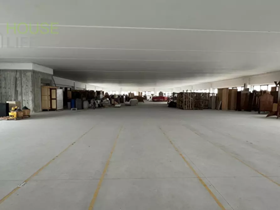 Immagine 18 di Capannone industriale in vendita  in Via dell'agricoltura 29 a Minerbe
