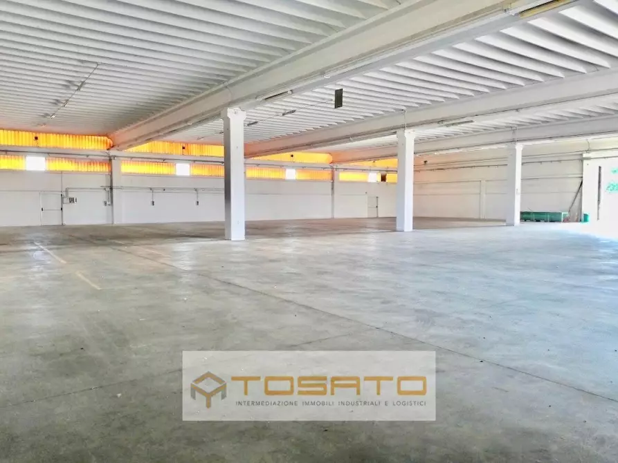 Immagine 2 di Capannone industriale in affitto  a Cerea