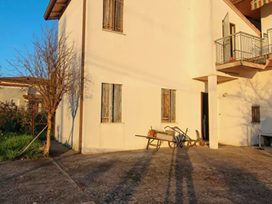 Immagine 3 di Casa indipendente in vendita  in Via triste a Cona
