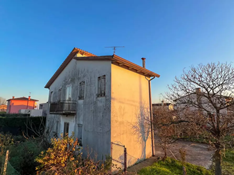 Immagine 4 di Casa indipendente in vendita  in Via triste a Cona