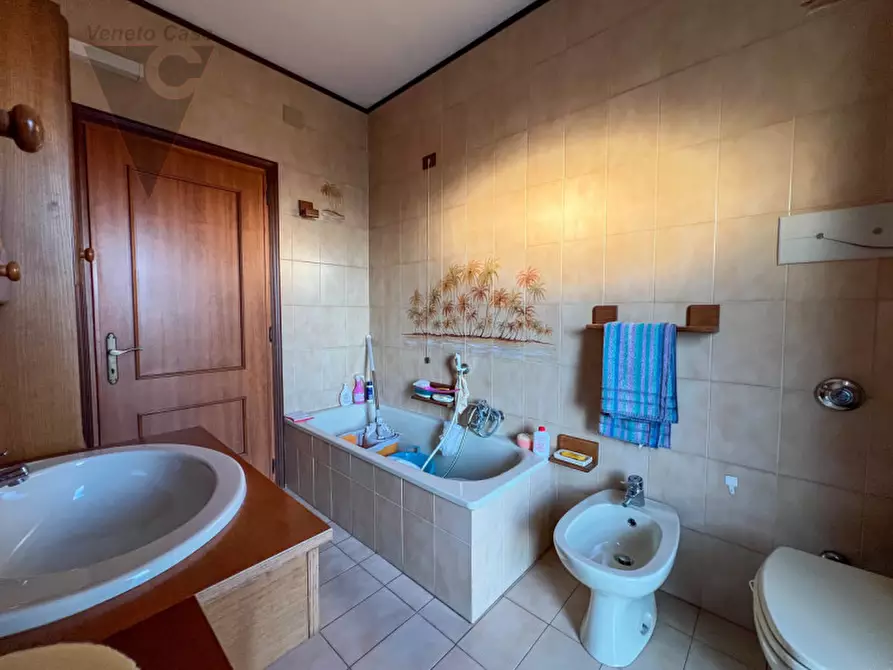 Immagine 23 di Casa indipendente in vendita  in Via triste a Cona