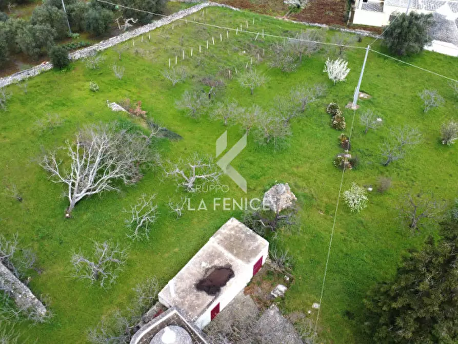 Immagine 4 di Rustico / casale in vendita  in via ostuni 139 a Martina Franca