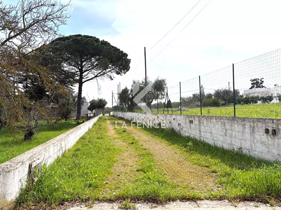 Immagine 11 di Rustico / casale in vendita  in via ostuni 139 a Martina Franca