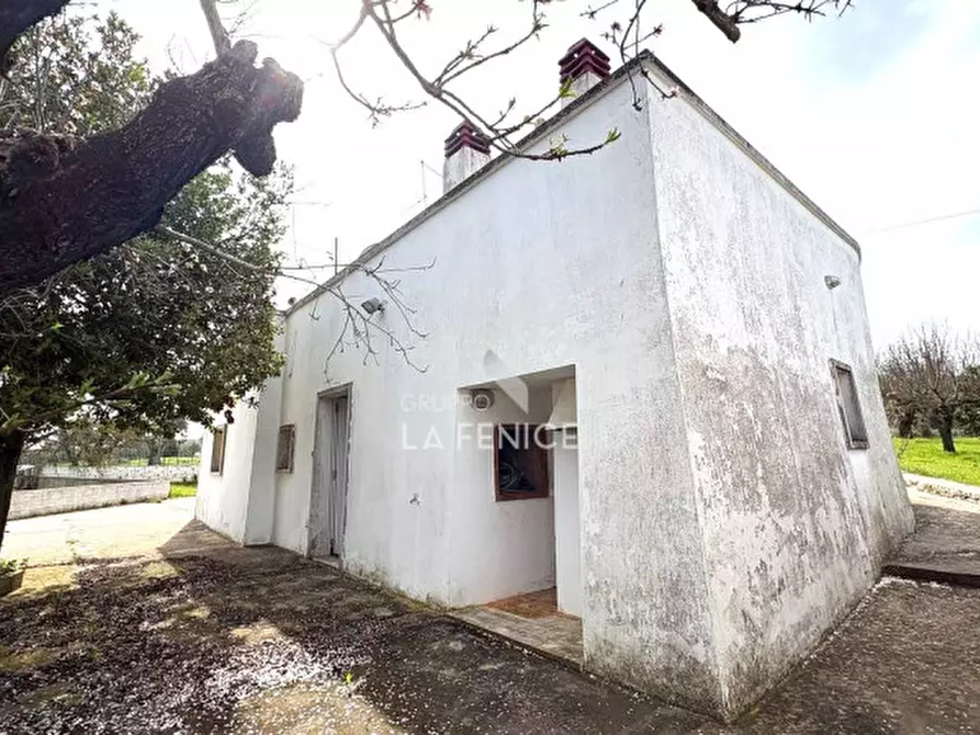 Immagine 15 di Rustico / casale in vendita  in via ostuni 139 a Martina Franca