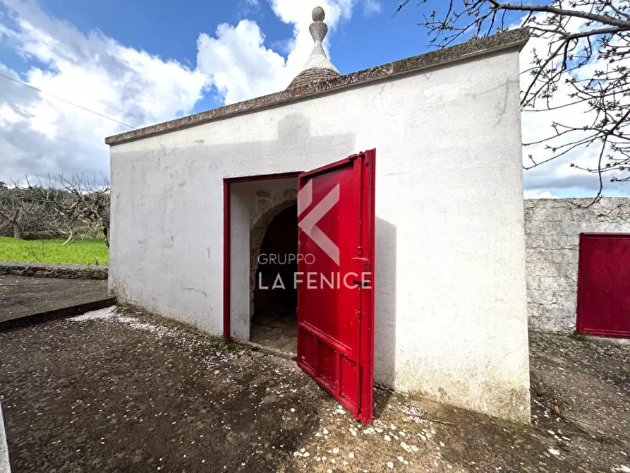 Immagine 40 di Rustico / casale in vendita  in via ostuni 139 a Martina Franca