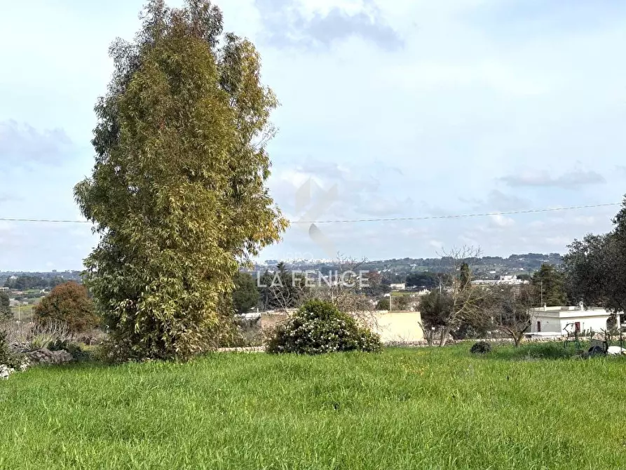 Immagine 43 di Rustico / casale in vendita  in via ostuni 139 a Martina Franca