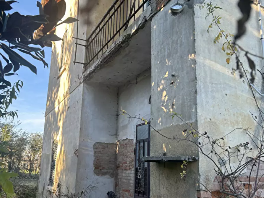 Immagine 4 di Casa bifamiliare in vendita  in Via Roma a Grisignano Di Zocco