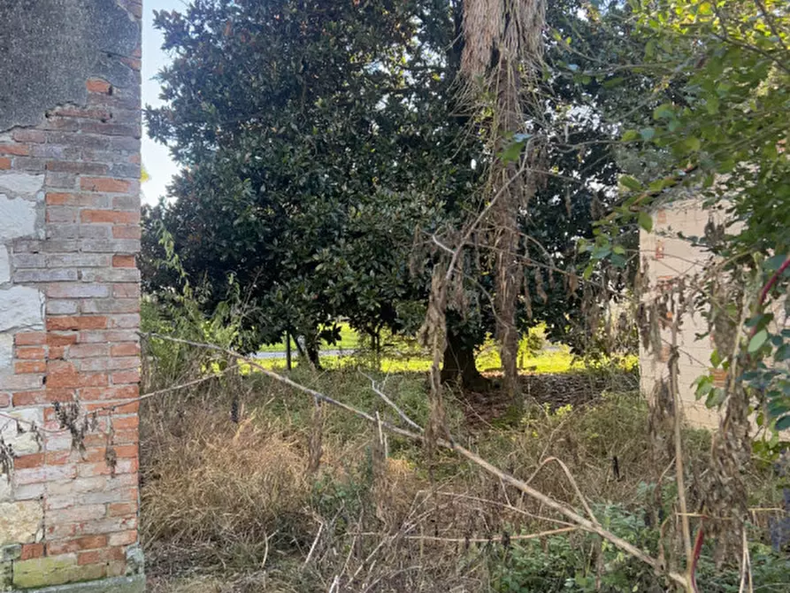 Immagine 34 di Casa bifamiliare in vendita  in Via Roma a Grisignano Di Zocco