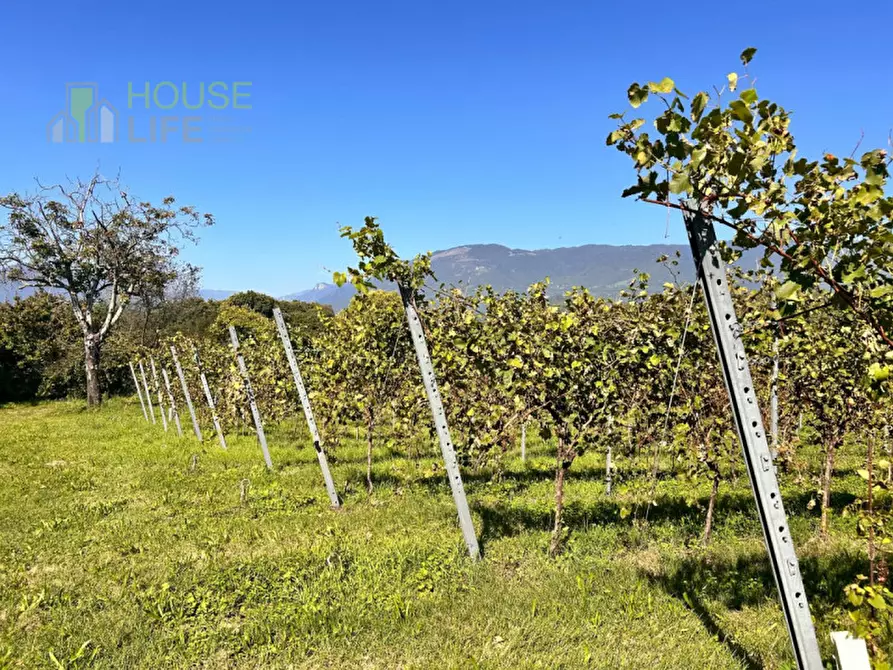 Immagine 4 di Rustico / casale in vendita  in Via Farneda a Fara Vicentino