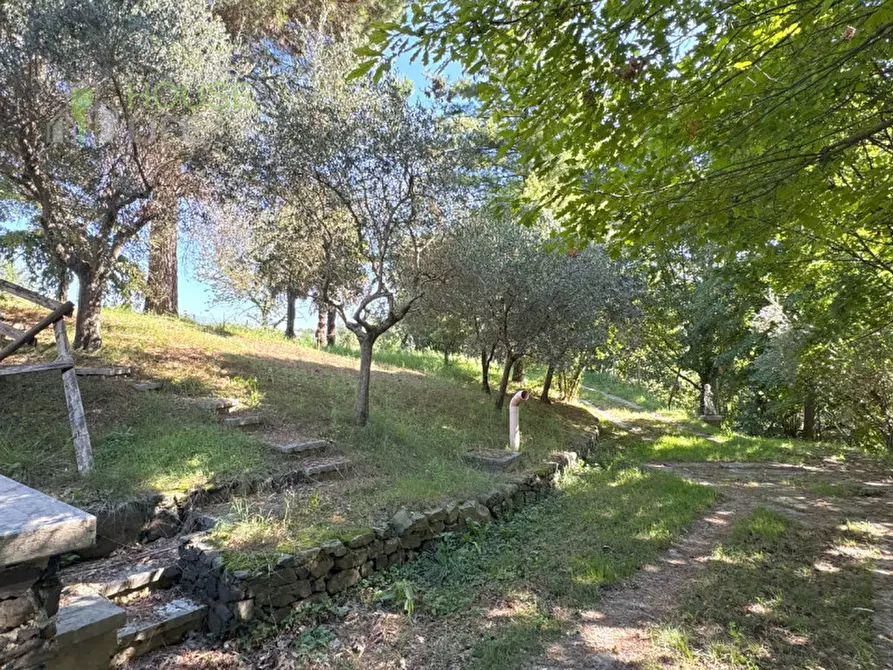 Immagine 19 di Rustico / casale in vendita  in Via Farneda a Fara Vicentino