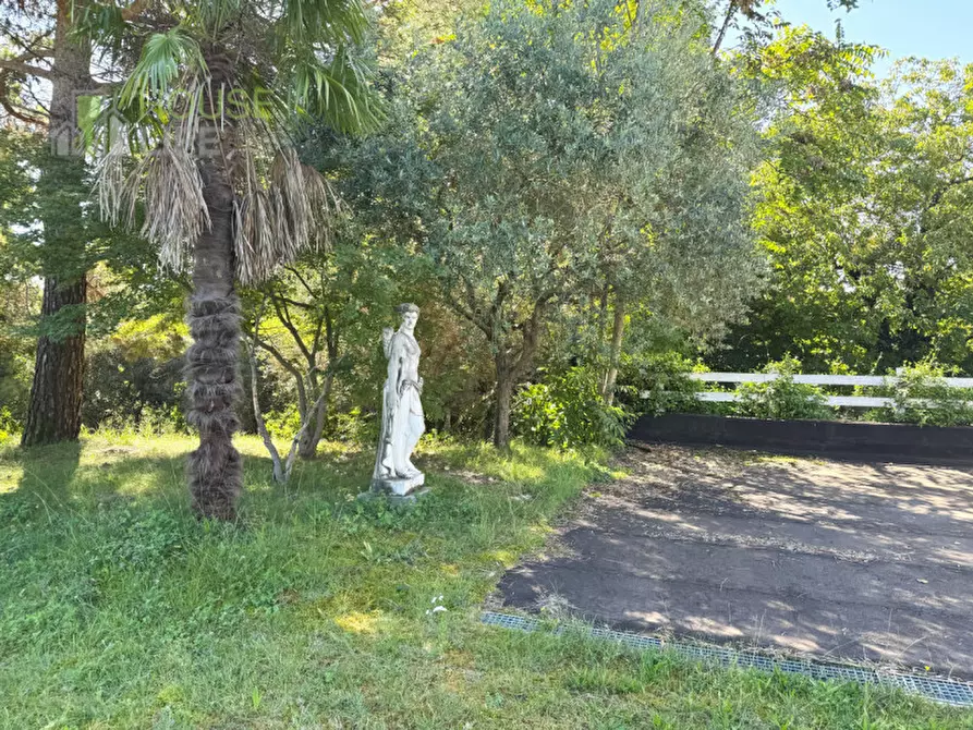 Immagine 22 di Rustico / casale in vendita  in Via Farneda a Fara Vicentino