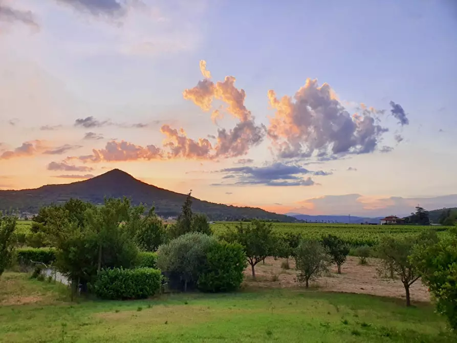 Immagine 19 di Rustico / casale in vendita  in Via Bagno a Cinto Euganeo