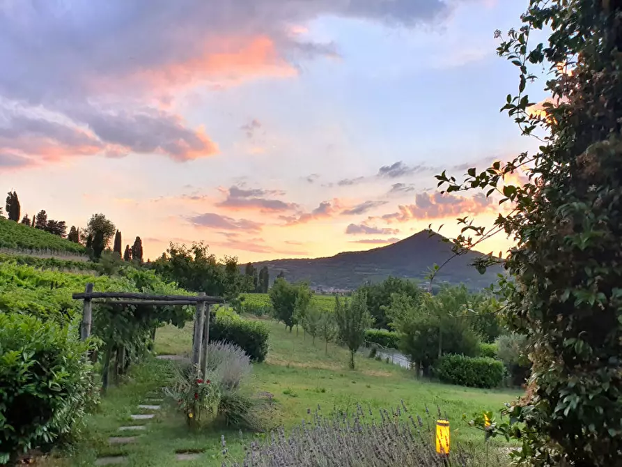Immagine 42 di Rustico / casale in vendita  a Cinto Euganeo