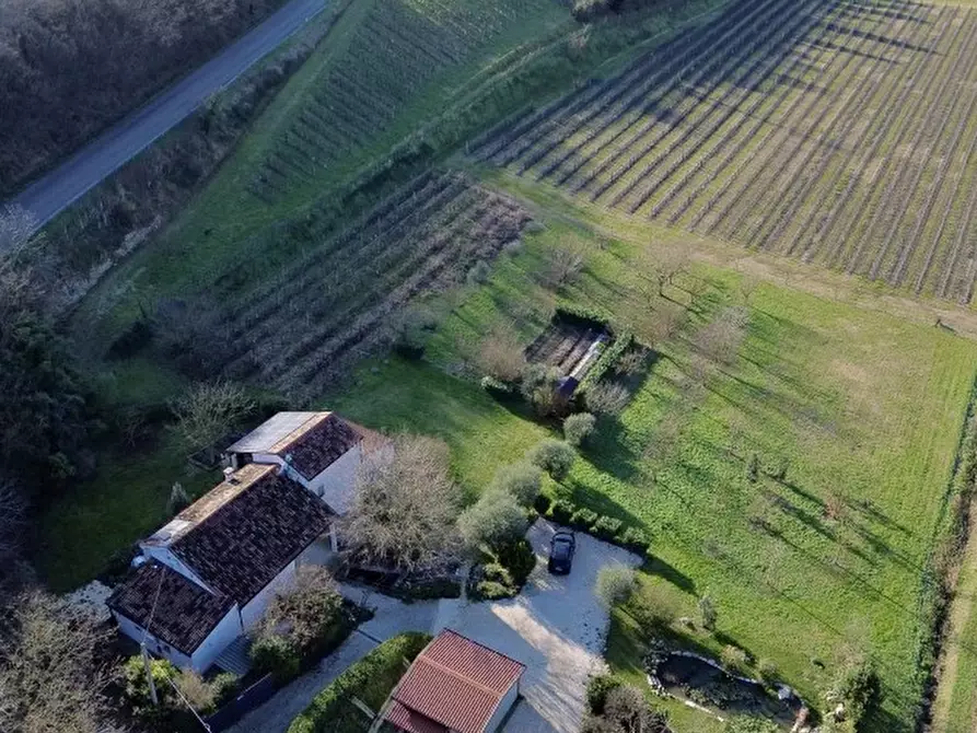 Immagine 44 di Rustico / casale in vendita  a Cinto Euganeo