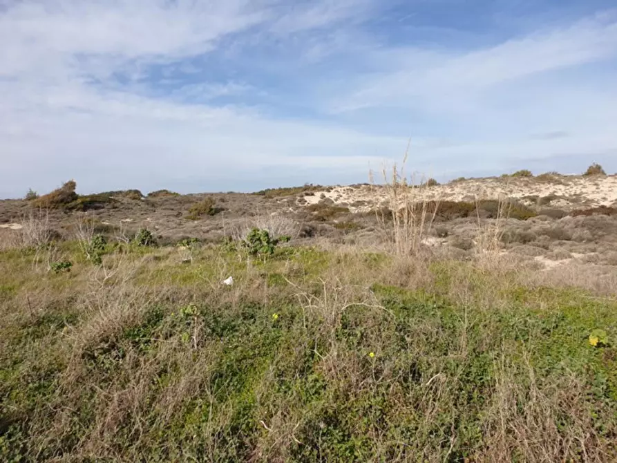 Immagine 2 di Terreno in vendita  in Trullo di Mare SP122, N. snc a Torricella
